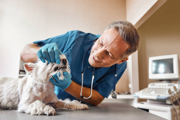  Hallsville, TX Emergency Dentist Pros